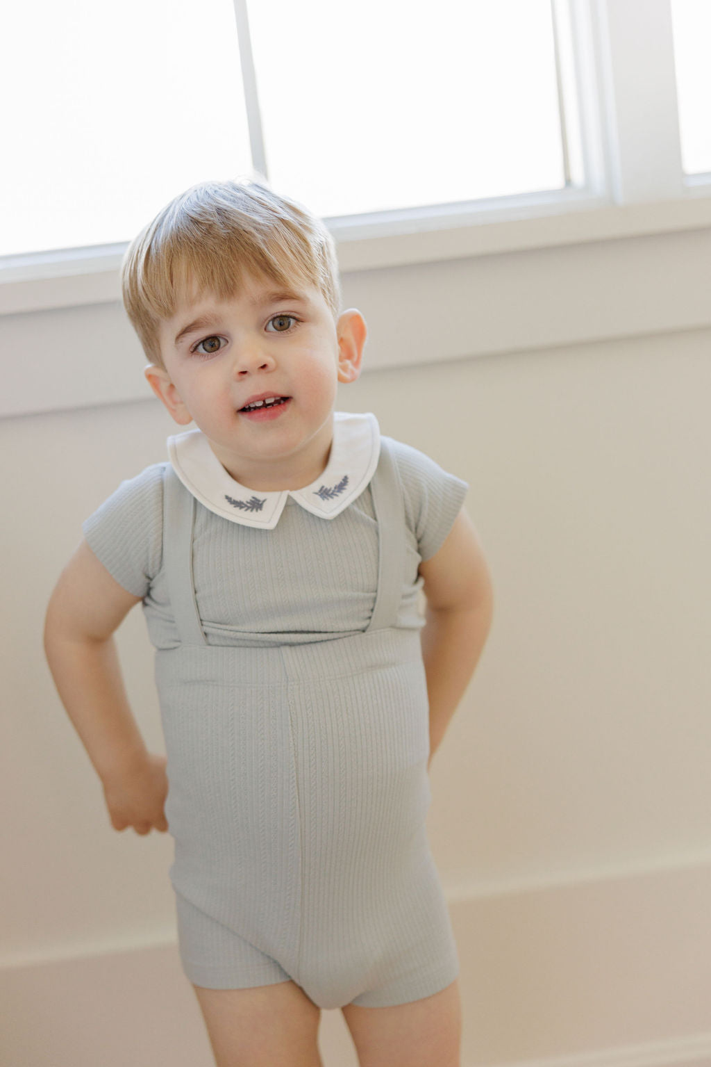 Ely's & Co Organic Embroidered Collar Set