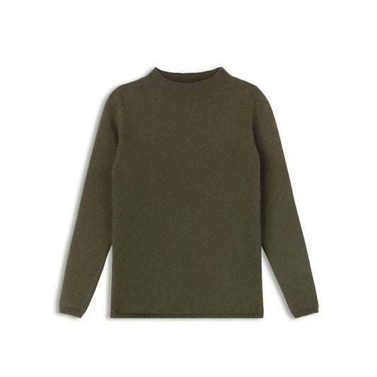 Looms Dense Knit Turtle Neck