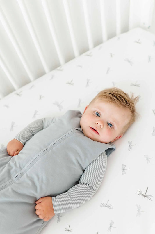 Ely's & Co Blue Dragonfly + Stripes Crib Sheets (2-pack)