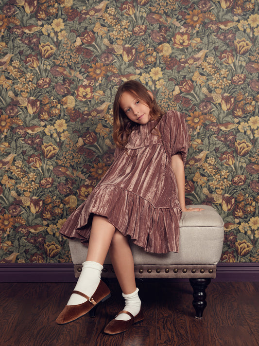 Teela Crushed Velvet Dress