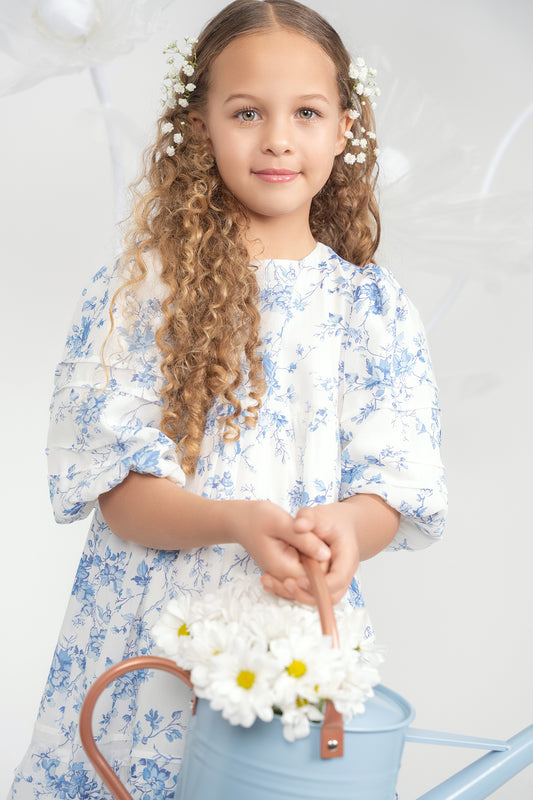 Teela Toile Pleat Dress