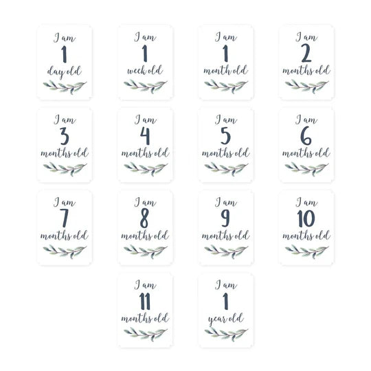 Lulujo Baby’s First Year - “Hello World”